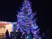 very big tree with lights
