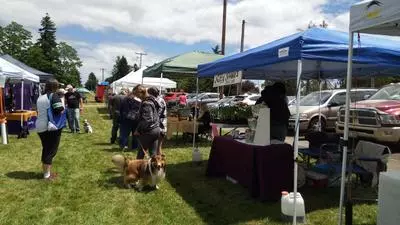 event in park