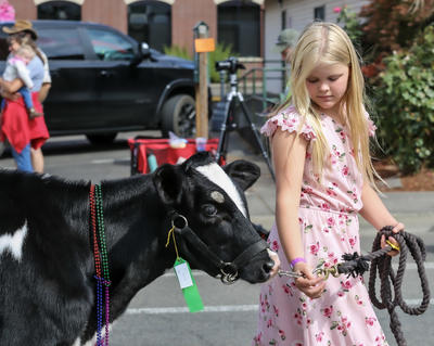 girl walking cow