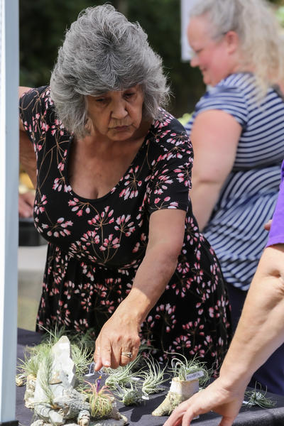 woman looking at plant