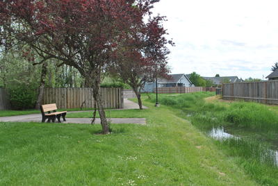walking path with bench