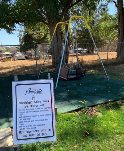 Wheel Chair Swing